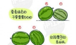 娱乐大号倡导吃瓜理性,理性围观，揭秘娱乐圈真相