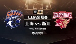 辽宁上海直播在线观看,云端相聚，共赏精彩瞬间